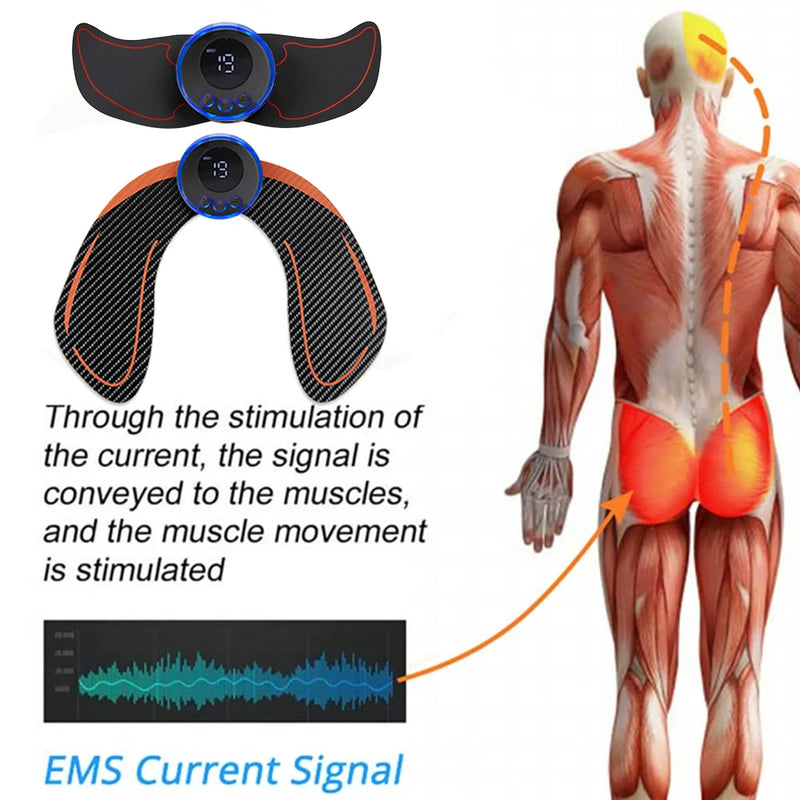 EMS Hips Trainer